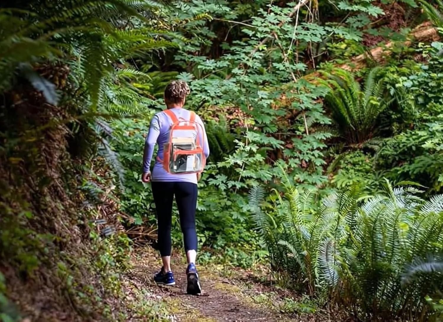 Trail maker Clear Backpack Heavy Duty with Padded Straps, Side Pockets for Kids, Boys, Girls, School, Stadium Approved Events(Coral)